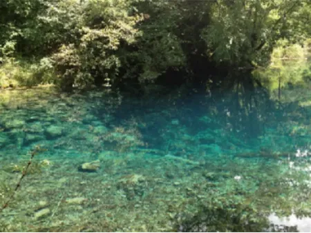 Solutions de traitement des eaux de jardin et d'aménagement paysager et Technologie des procédés