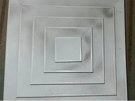 Solutions de nettoyage et de désinfection des conduits d'air et Technologie des procédés