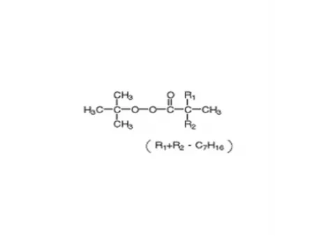 Peroxyneodécanoate de tert-butyle (TBPD)