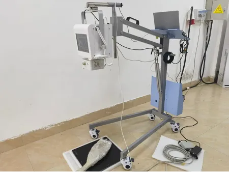 Système de radiographie vétérinaire SHO-PX/Appareil de radiologie vétérinaire SHO-PX