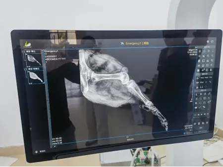 Système de radiographie vétérinaire SHO-PX/Appareil de radiologie vétérinaire SHO-PX
