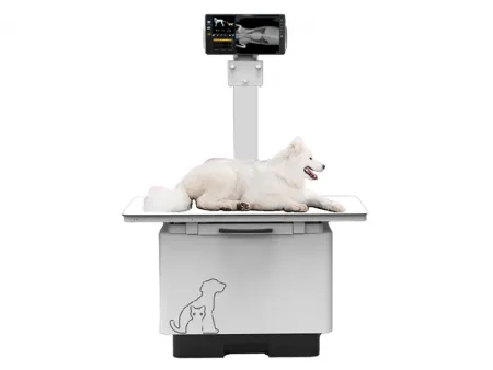 Système de radiographie vétérinaire/Appareil de radiologie vétérinaire