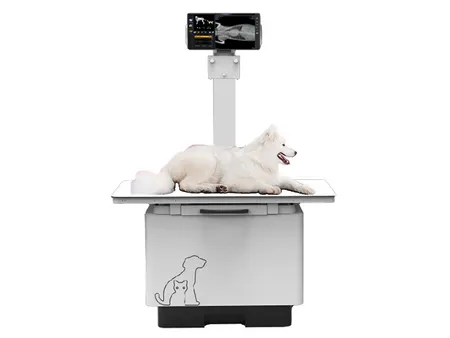 Système de radiographie vétérinaire/Appareil de radiologie vétérinaire