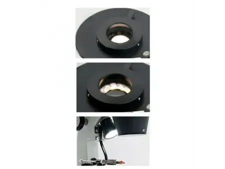 Microscope pour la gemmologie avec bras vertical