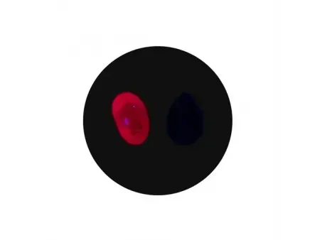 Lampe ultraviolette
