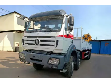Grue montée sur camion / Grue sur camion / Camion grue