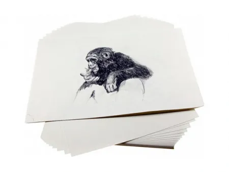 Papier à Croquis (Papier à Dessin)