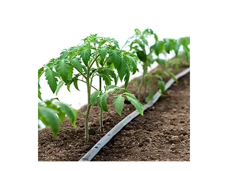 Ligne d’extrusion de tuyau d'irrigation à goutteur plat