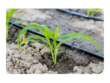 Ligne d’extrusion de tuyau d'irrigation à goutteur plat en PC