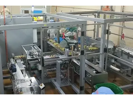Ligne automatique d’emballage de nouilles instantanées