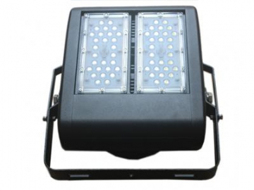 Projecteur LED 100 Watts, 2 modules LED