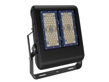 Projecteur LED 100 Watts, 2 modules LED