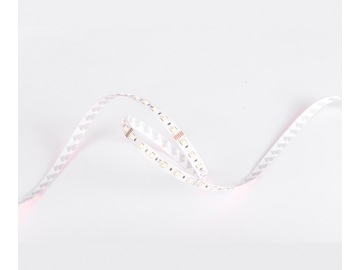 D560RGBLWW 24V 12mm Ruban LED flexible dimmable