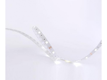 Ruban LED de maison  10mm 12V D530