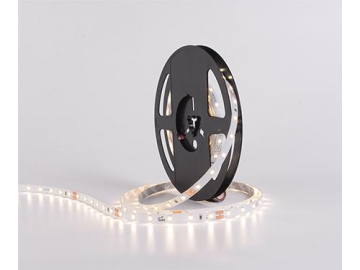 Ruban LED  8mm 24V DJ60