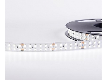 Ruban LED flexible  15mm 24V D3240