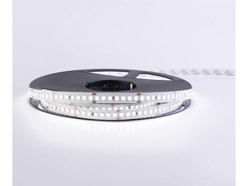 Ruban LED flexible d’intérieur  10mm 24V D8168