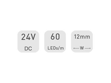 Ruban LED RGB dimmable  12mm 24V D560RGBW