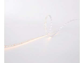 Ruban LED flexible  8mm 24V D6240