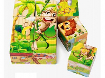 Puzzles en bois 6 côtés