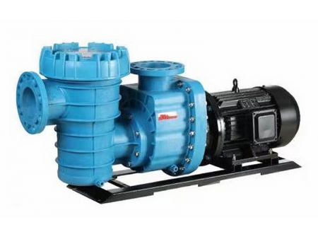 Pompe de piscine, CB-P150