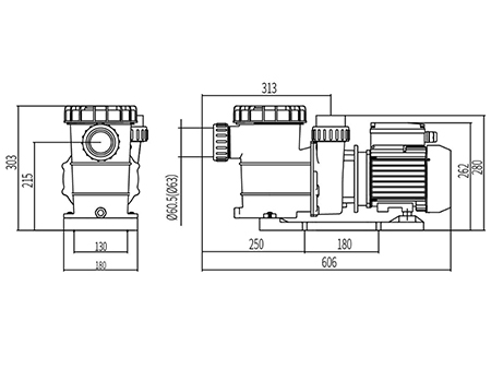Pompe de piscine légère, Série DXD-320EM