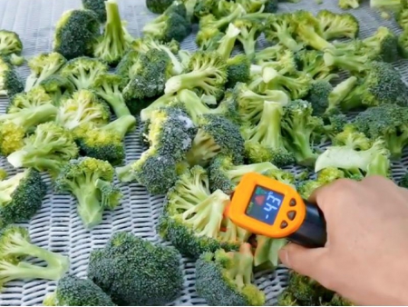 2 Tunnel de Surgélation de 2 Tonnes pour Brocoli et Chou en Chine
