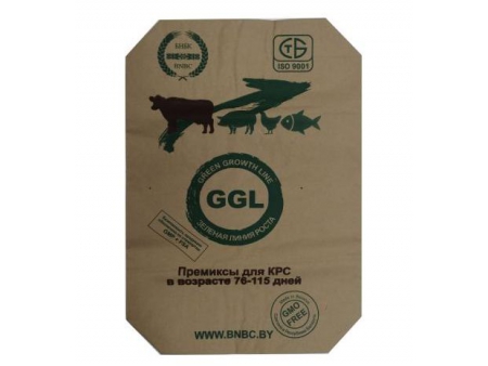 Machine de fabrication de sacs en papier, FM2018