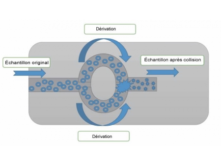 Homogénéisateur haute pression, microfluidique