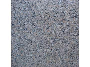 Carrelage granit rouge Xili