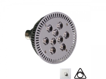 Spot LED PAR38 variable 12W