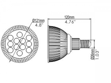 Spot LED PAR38 variable 12W