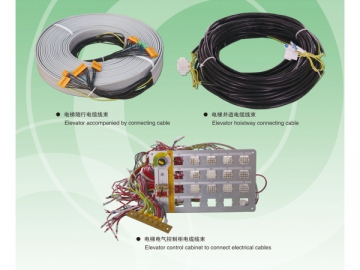 Faisceau de câble pour ascenseurs
