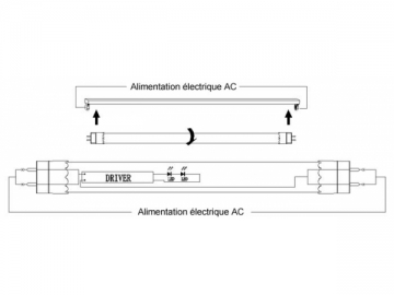 Tube LED T8 graduable