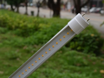 Tube LED T8 standard