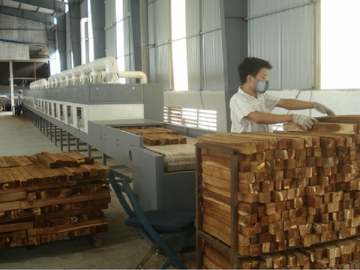 Sécheur micro-ondes pour bois