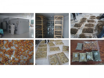 Chambre de séchage pour produits de la mer
