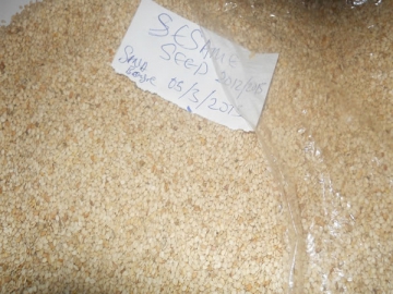 Graines de sésame