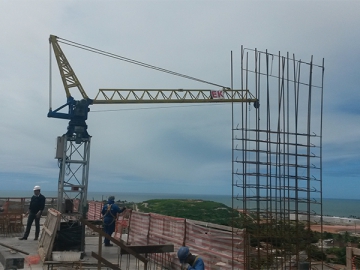 Grue à flèche relevable