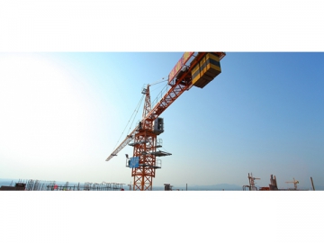 Grue à tour à flèche horizontale QNP31.5