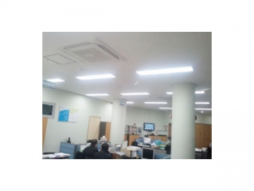 Tube LED T8 (avec conducteur isolé)