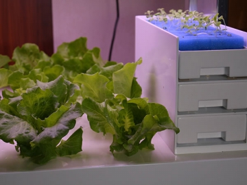 Ferme verticale pour ménages