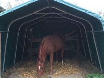 Tente pour cheval