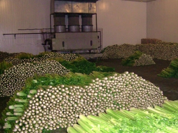 Chambre froide pour légumes