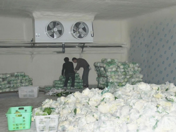 Chambre froide pour légumes