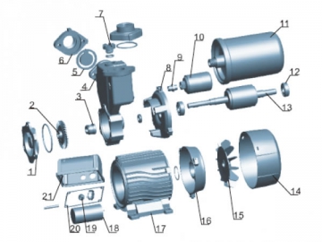 Pompe périphérique auto-amorçante LKSm(130/350A/550A/750A)