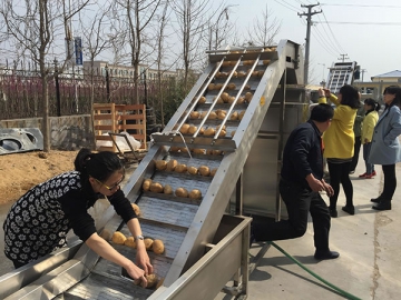 Ligne de production de chips