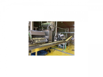Ligne de production de frites surgelées