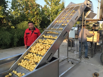 Ligne de production de frites surgelées