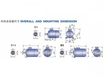 Moteur électrique série MS